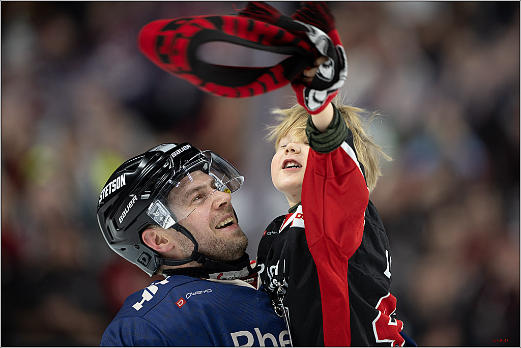 PENNY DEL 1; Kölner Haie - Augsburger Panther; Köln, 08.12.2024