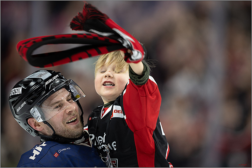 PENNY DEL 1; Kölner Haie - Augsburger Panther; Köln, 08.12.2024