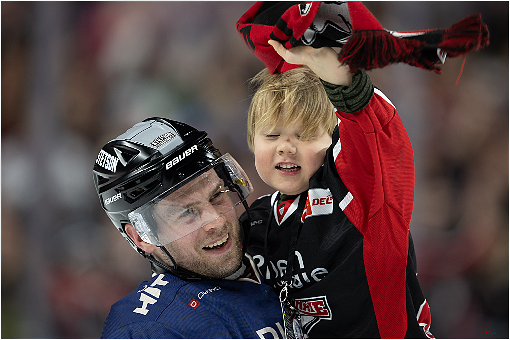 PENNY DEL 1; Kölner Haie - Augsburger Panther; Köln, 08.12.2024