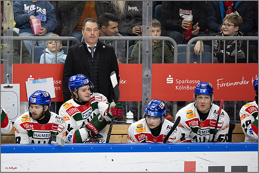 PENNY DEL 1; Kölner Haie - Augsburger Panther; Köln, 08.12.2024