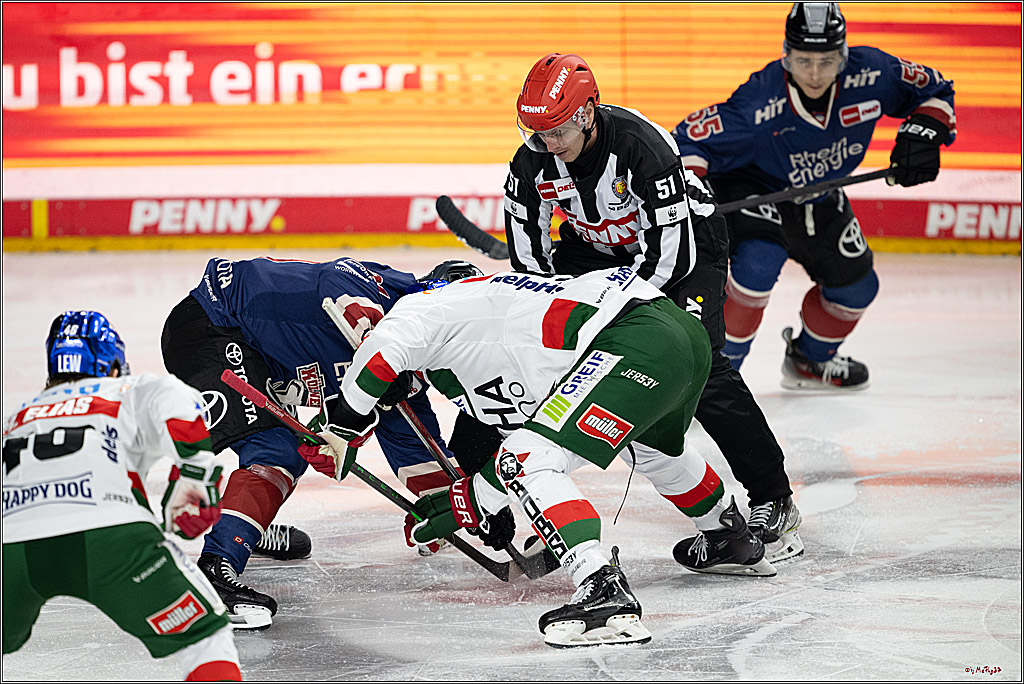 PENNY DEL 1; Kölner Haie - Augsburger Panther; Köln, 08.12.2024