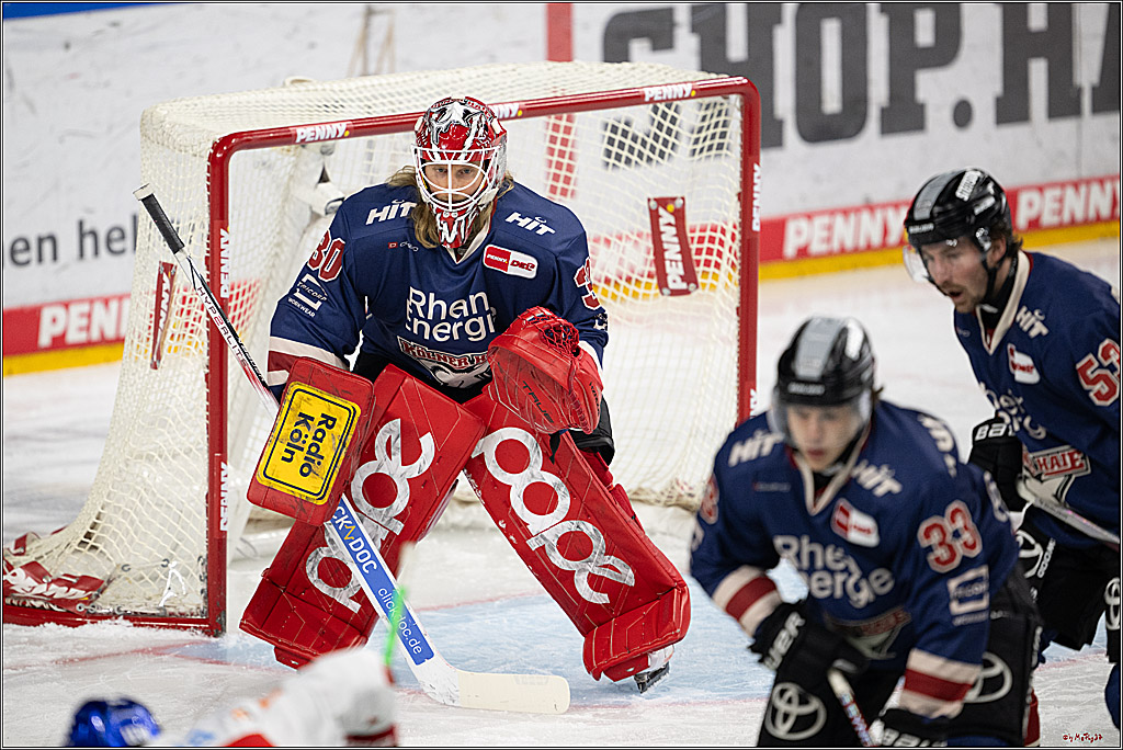 PENNY DEL 1; Kölner Haie - Augsburger Panther; Köln, 08.12.2024