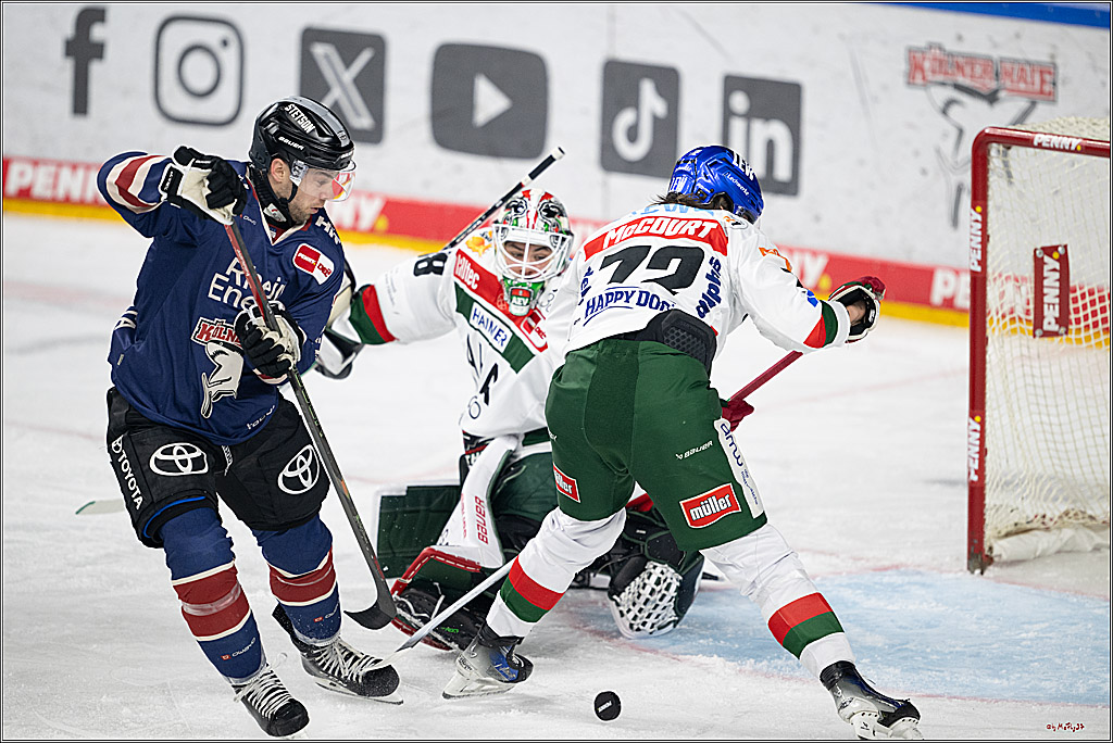 PENNY DEL 1; Kölner Haie - Augsburger Panther; Köln, 08.12.2024