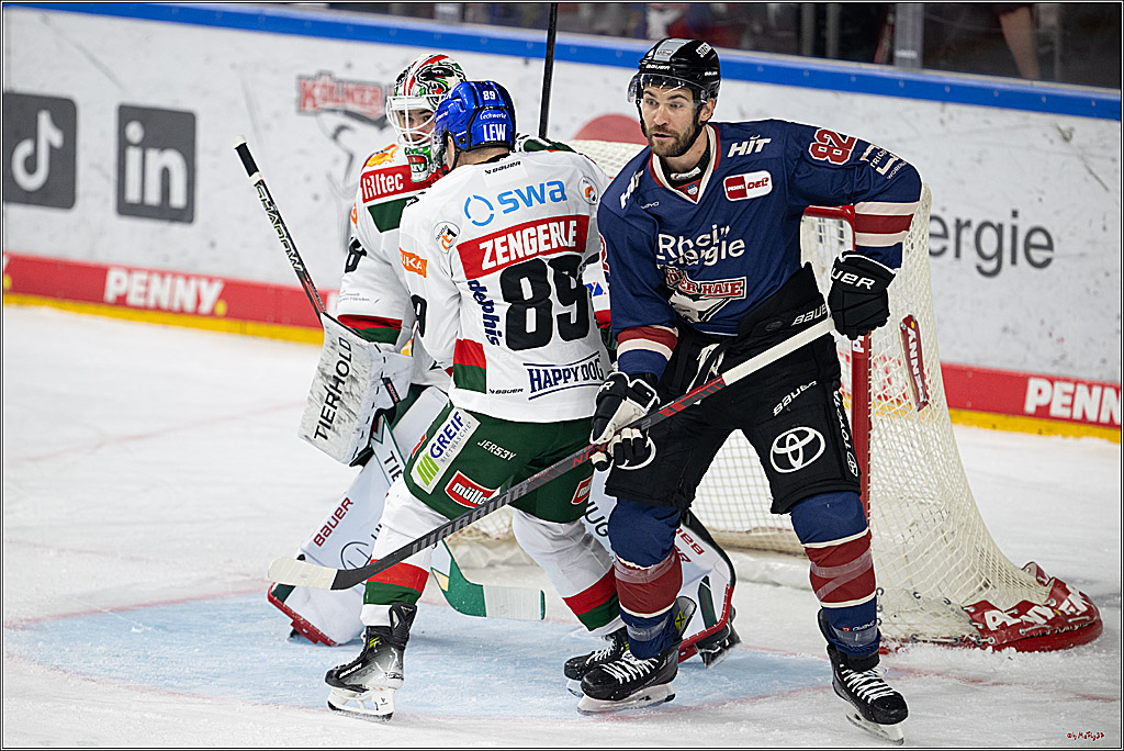 PENNY DEL 1; Kölner Haie - Augsburger Panther; Köln, 08.12.2024