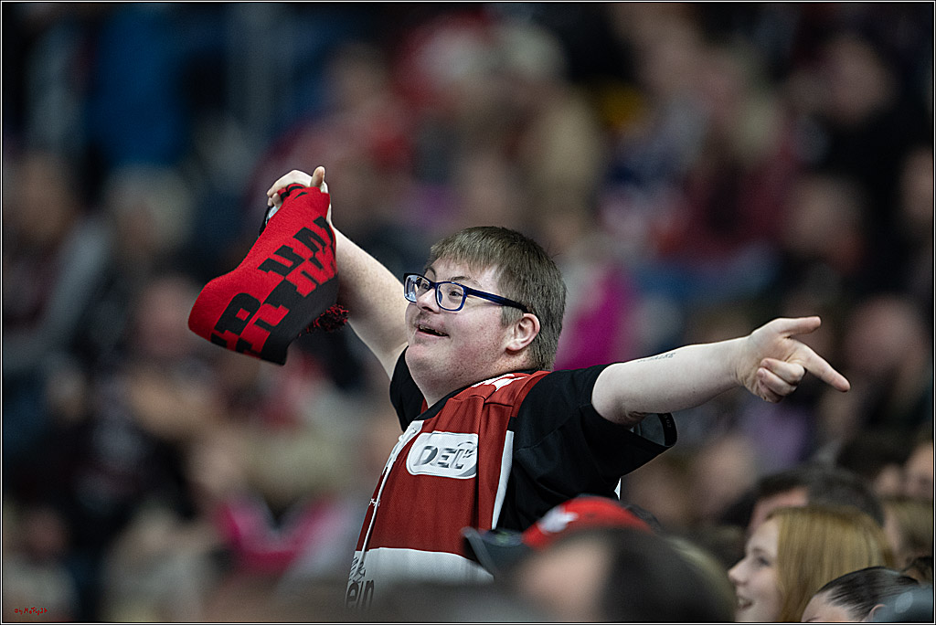 PENNY DEL 1; Kölner Haie - Augsburger Panther; Köln, 08.12.2024