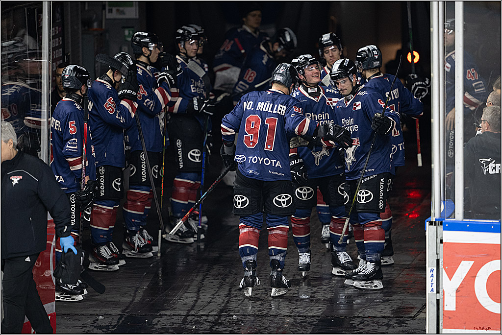 PENNY DEL 1; Kölner Haie - Augsburger Panther; Köln, 08.12.2024