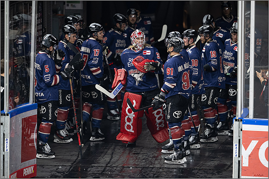 PENNY DEL 1; Kölner Haie - Augsburger Panther; Köln, 08.12.2024