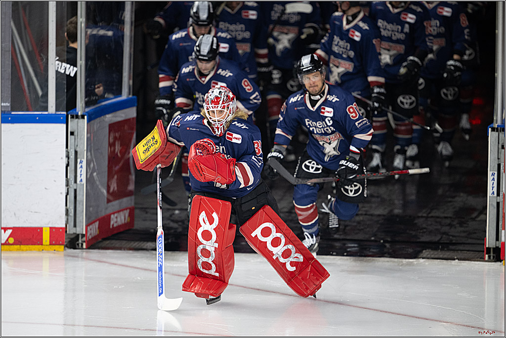 PENNY DEL 1; Kölner Haie - Augsburger Panther; Köln, 08.12.2024