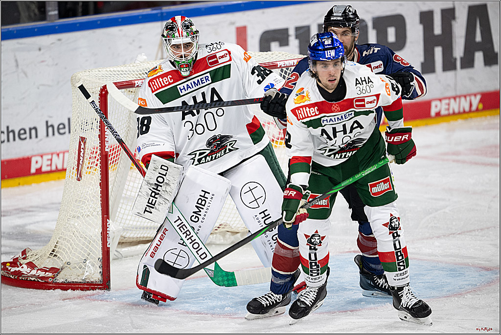 PENNY DEL 1; Kölner Haie - Augsburger Panther; Köln, 08.12.2024