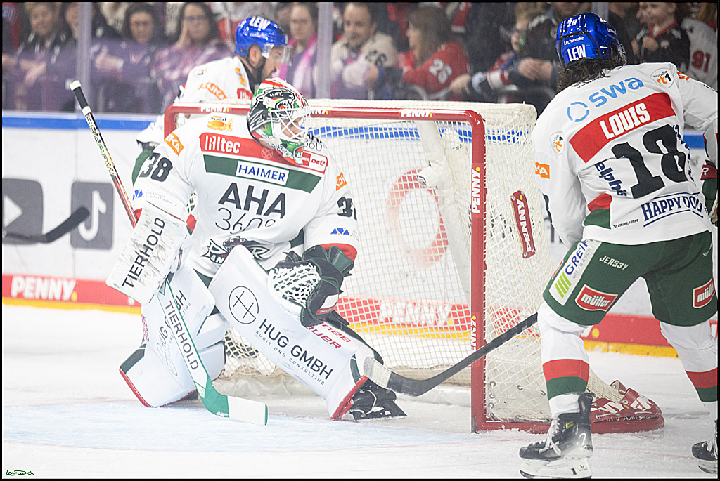 PENNY DEL; Koelner Haie-Augsburger Panther; Koeln, 08.12.2024