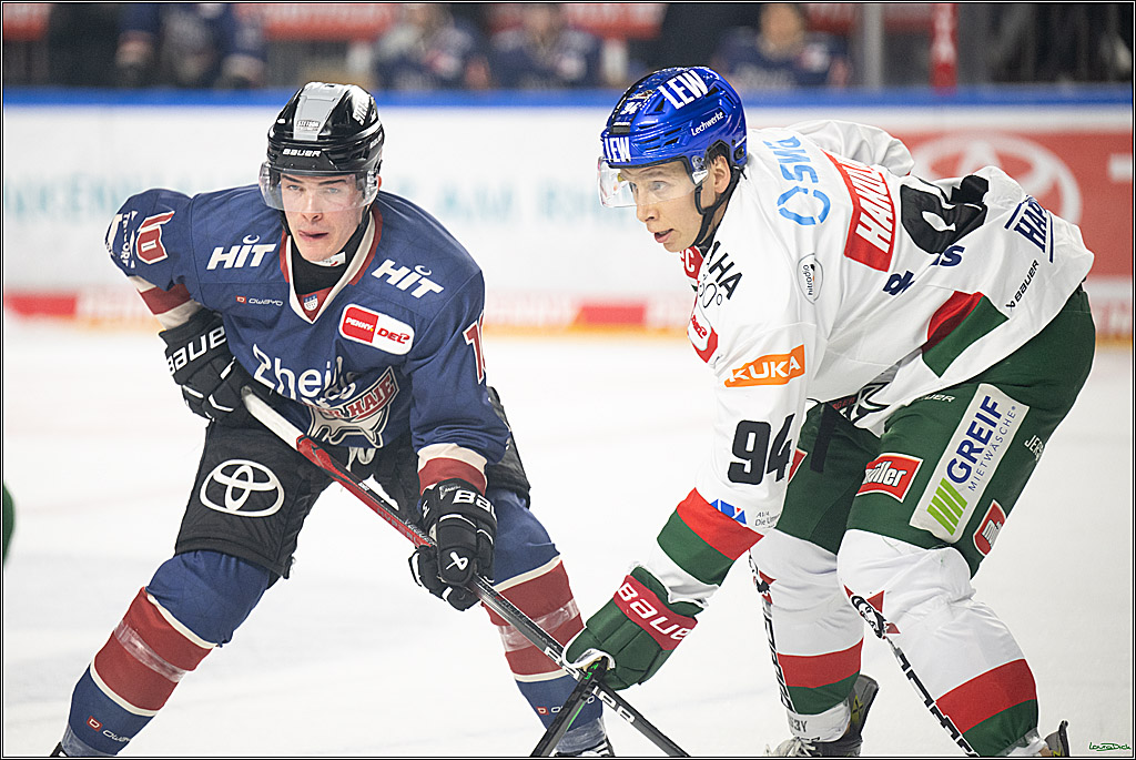 PENNY DEL; Koelner Haie-Augsburger Panther; Koeln, 08.12.2024