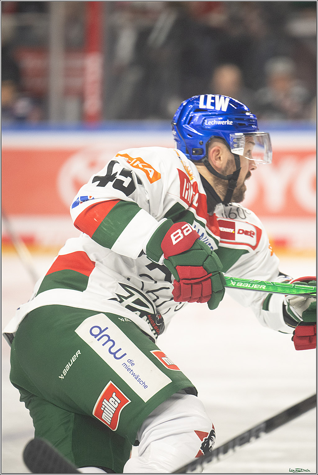 PENNY DEL; Koelner Haie-Augsburger Panther; Koeln, 08.12.2024