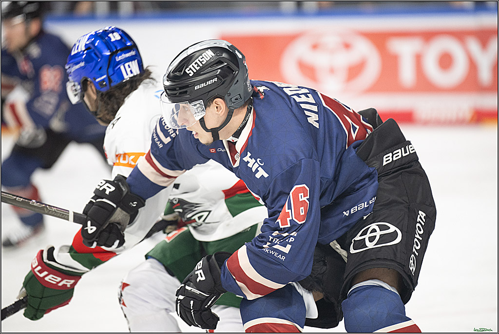 PENNY DEL; Koelner Haie-Augsburger Panther; Koeln, 08.12.2024