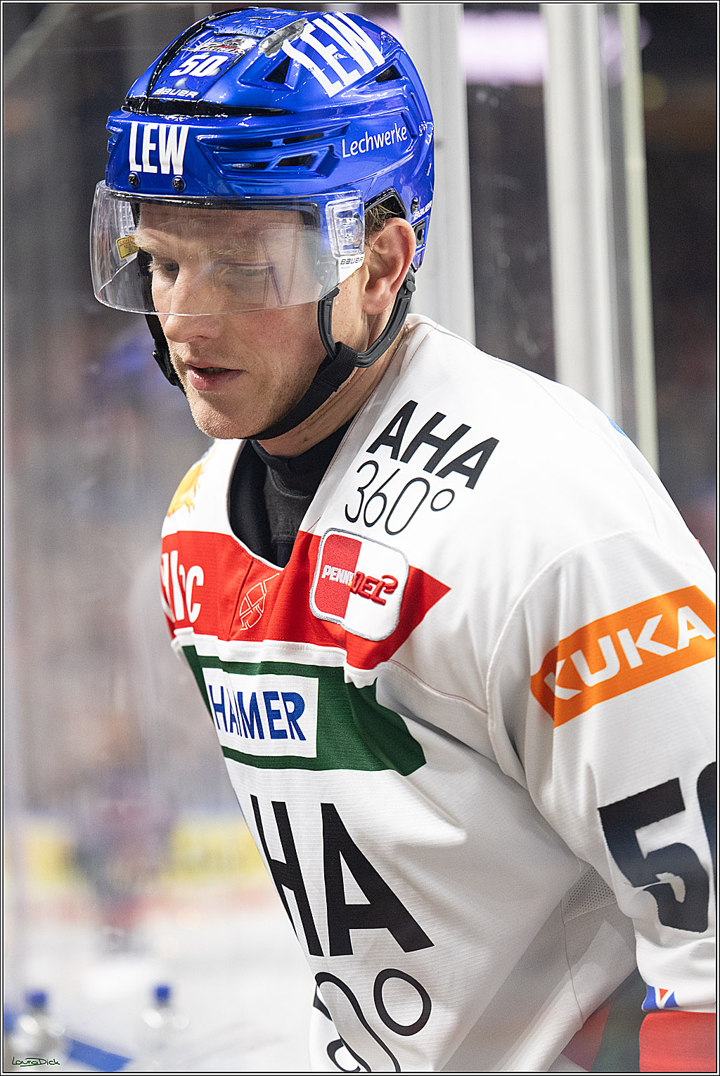 PENNY DEL; Koelner Haie-Augsburger Panther; Koeln, 08.12.2024