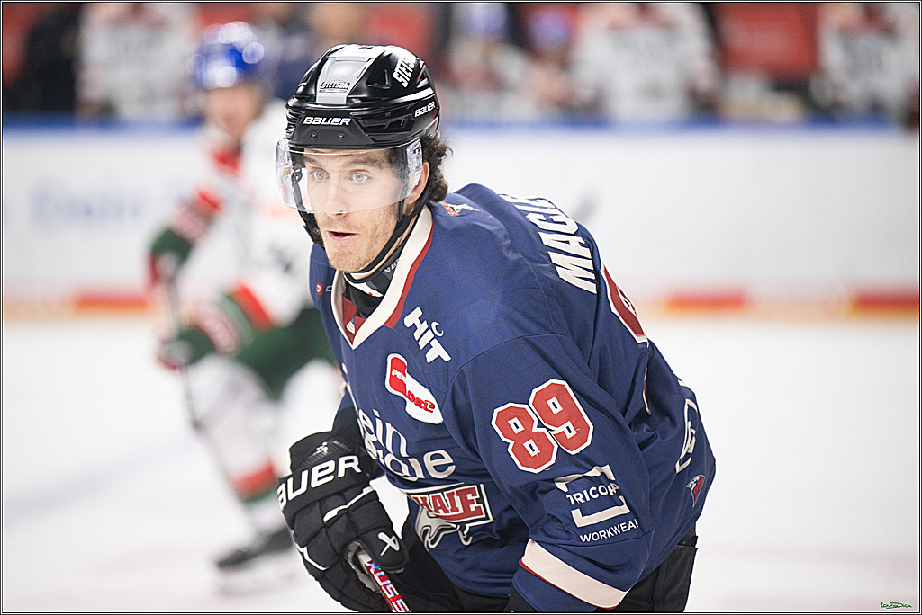 PENNY DEL; Koelner Haie-Augsburger Panther; Koeln, 08.12.2024