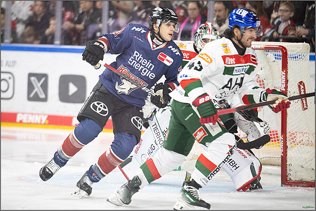 PENNY DEL; Koelner Haie-Augsburger Panther; Koeln, 08.12.2024