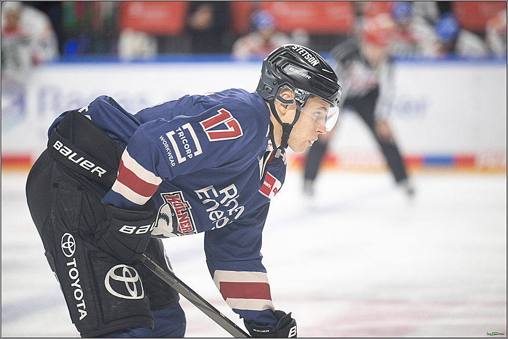 PENNY DEL; Koelner Haie-Augsburger Panther; Koeln, 08.12.2024