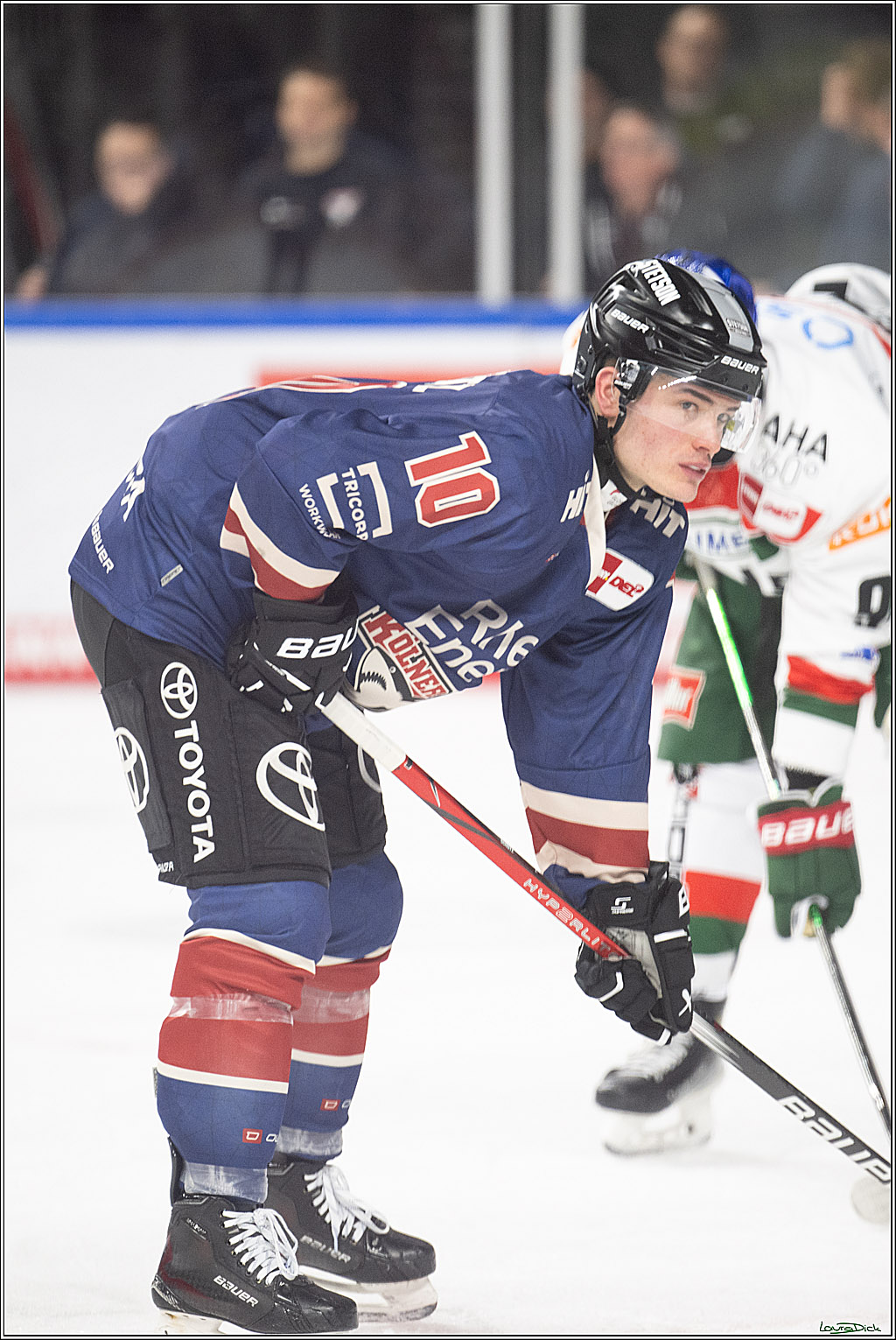 PENNY DEL; Koelner Haie-Augsburger Panther; Koeln, 08.12.2024