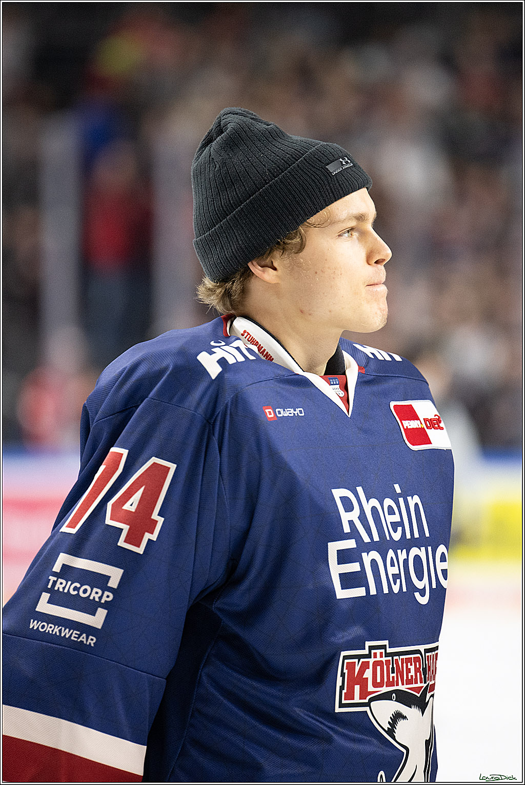 PENNY DEL; Koelner Haie-Augsburger Panther; Koeln, 08.12.2024