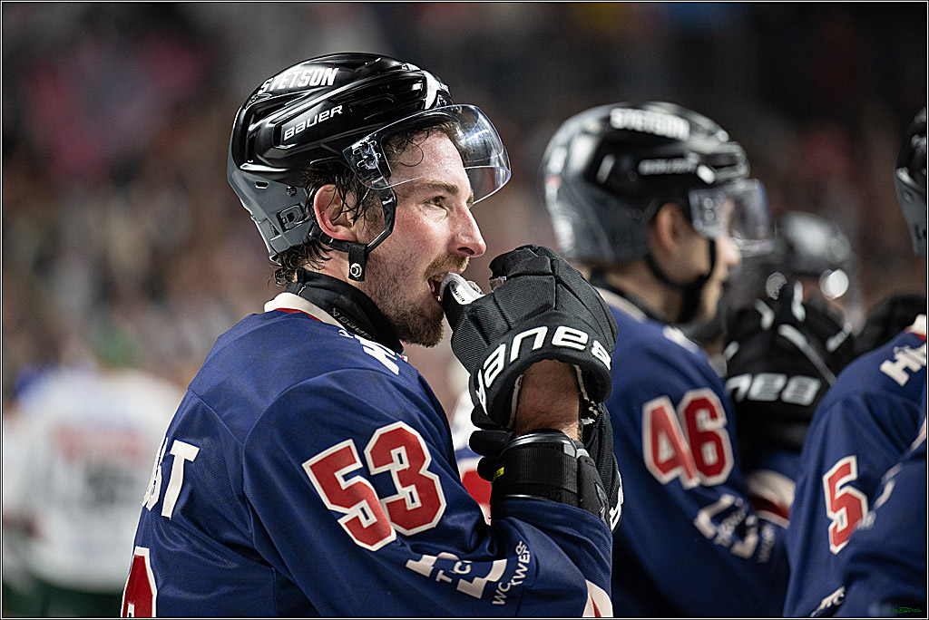 PENNY DEL; Koelner Haie-Augsburger Panther; Koeln, 08.12.2024