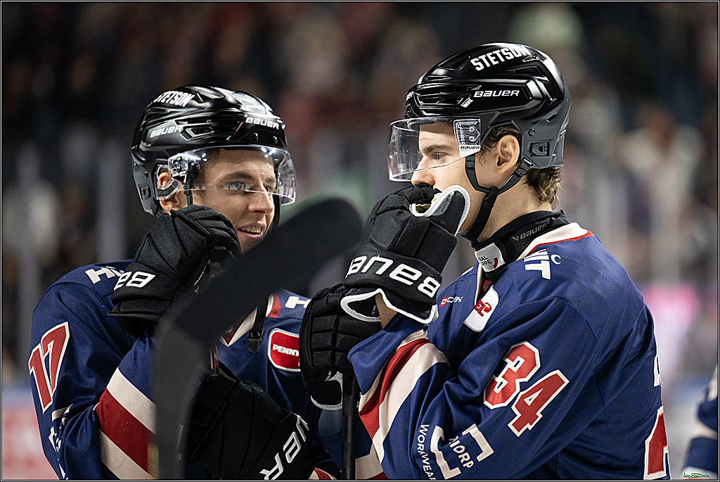 PENNY DEL; Koelner Haie-Augsburger Panther; Koeln, 08.12.2024