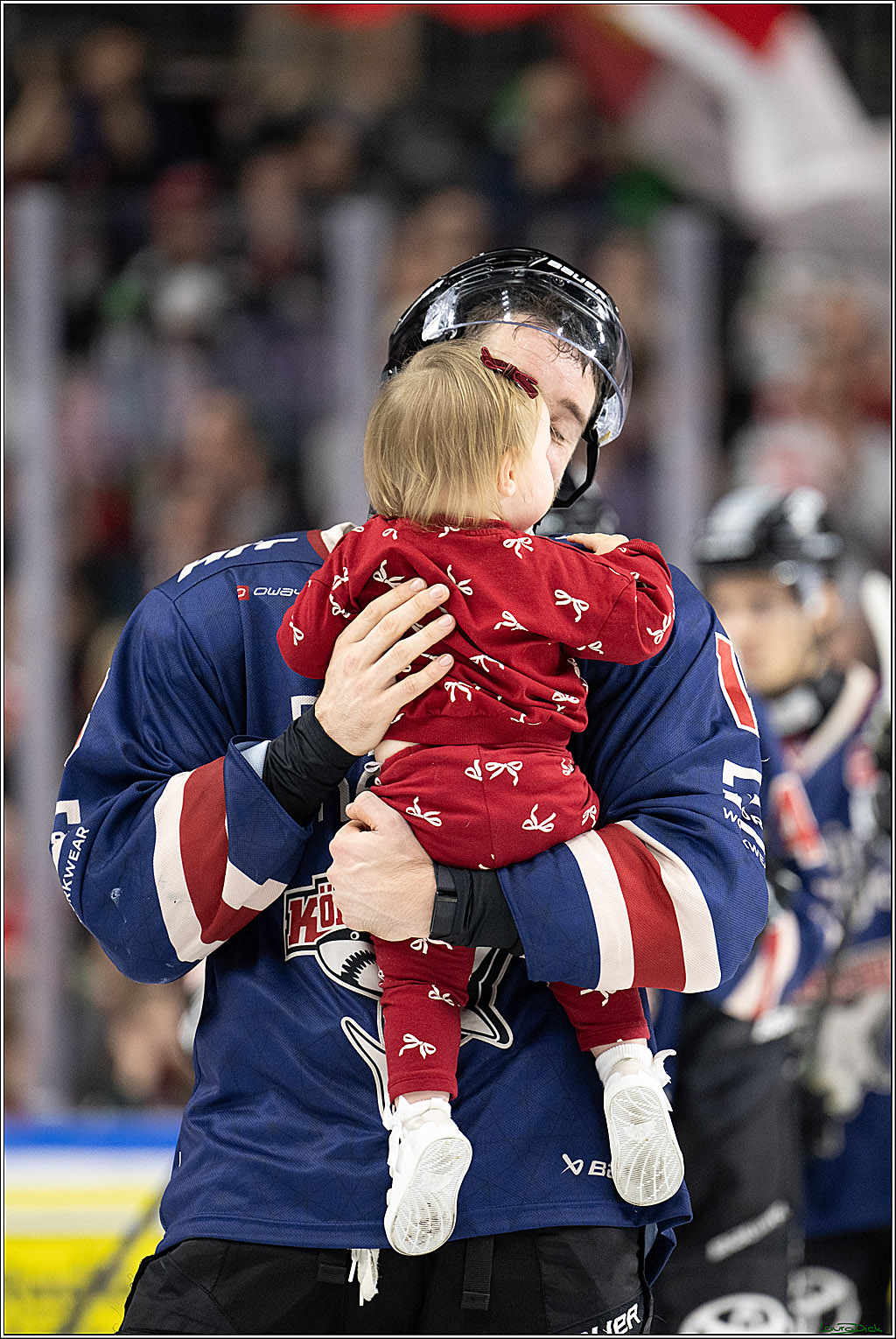 PENNY DEL; Koelner Haie-Augsburger Panther; Koeln, 08.12.2024