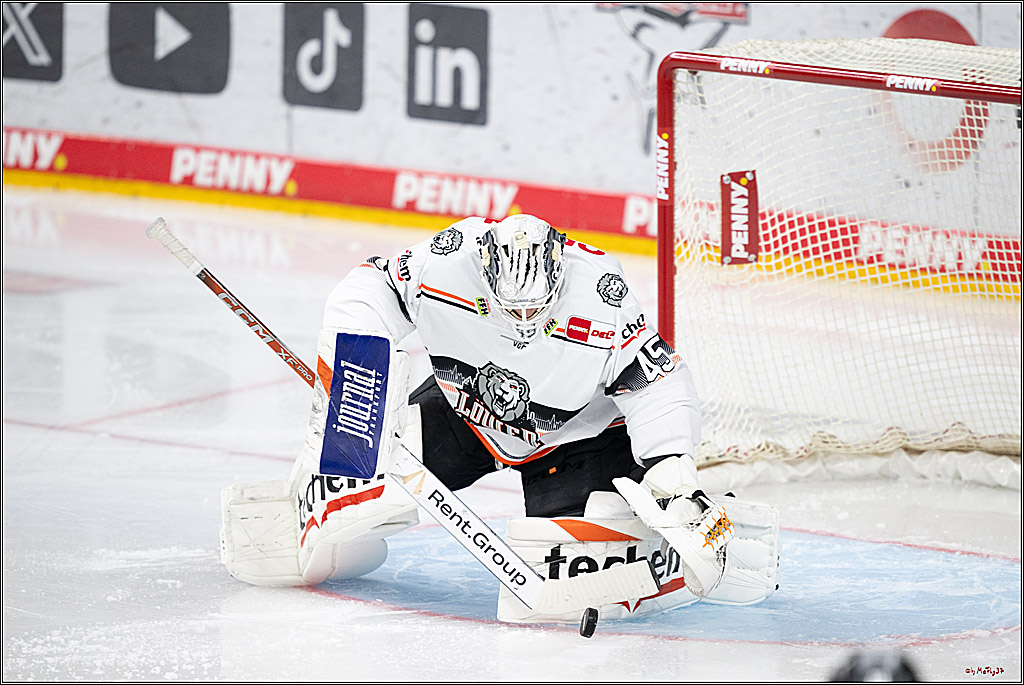 PENNY DEL 1; Kölner Haie - Löwen Frankfurt; Köln, 15.12.2024