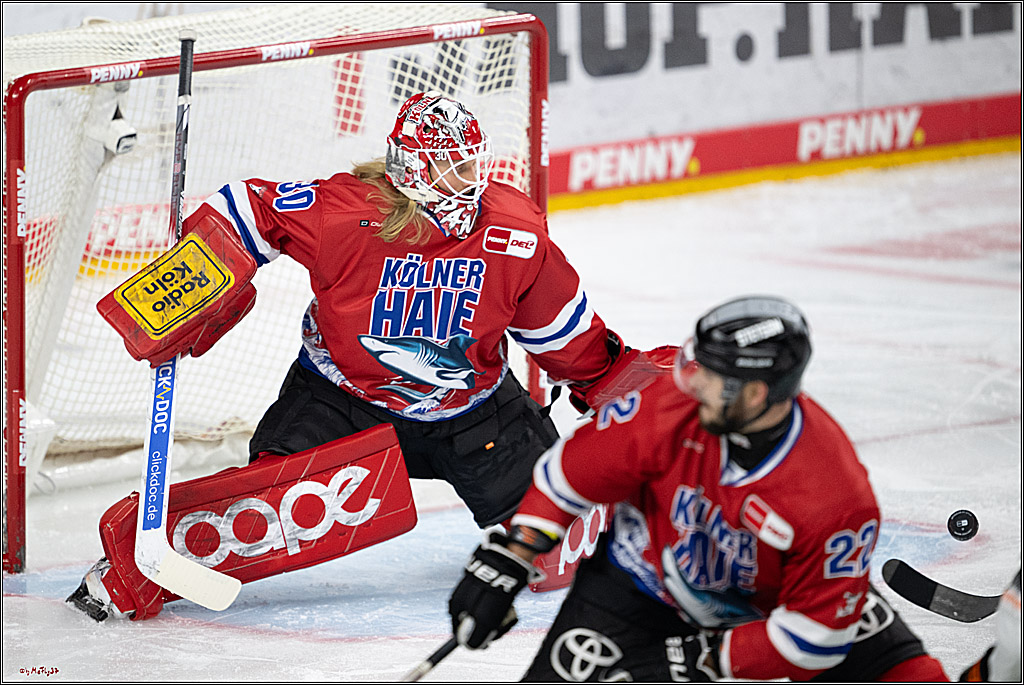 PENNY DEL 1; Kölner Haie - Löwen Frankfurt; Köln, 15.12.2024