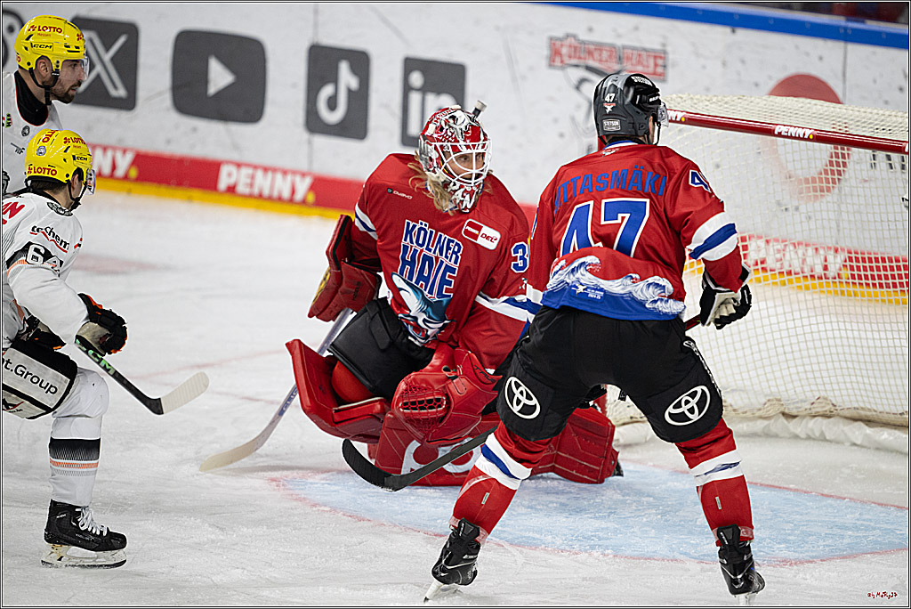 PENNY DEL 1; Kölner Haie - Löwen Frankfurt; Köln, 15.12.2024