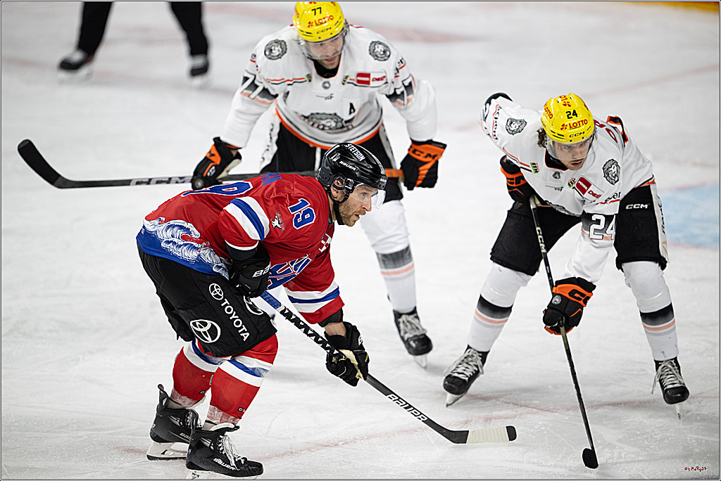 PENNY DEL 1; Kölner Haie - Löwen Frankfurt; Köln, 15.12.2024