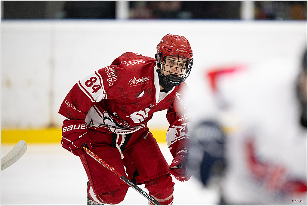 Freundschaftsspiel Junghaie U17 - Nationalmannschaft GRB U18; Köln, 18.12.2024