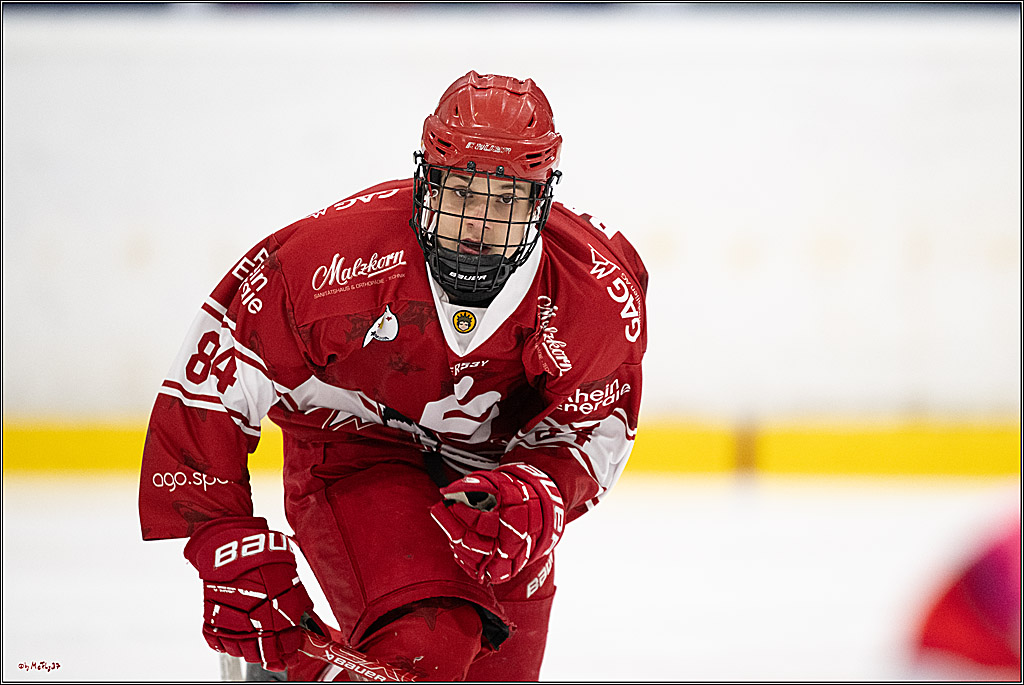 Freundschaftsspiel Junghaie U17 - Nationalmannschaft GRB U18; Köln, 18.12.2024