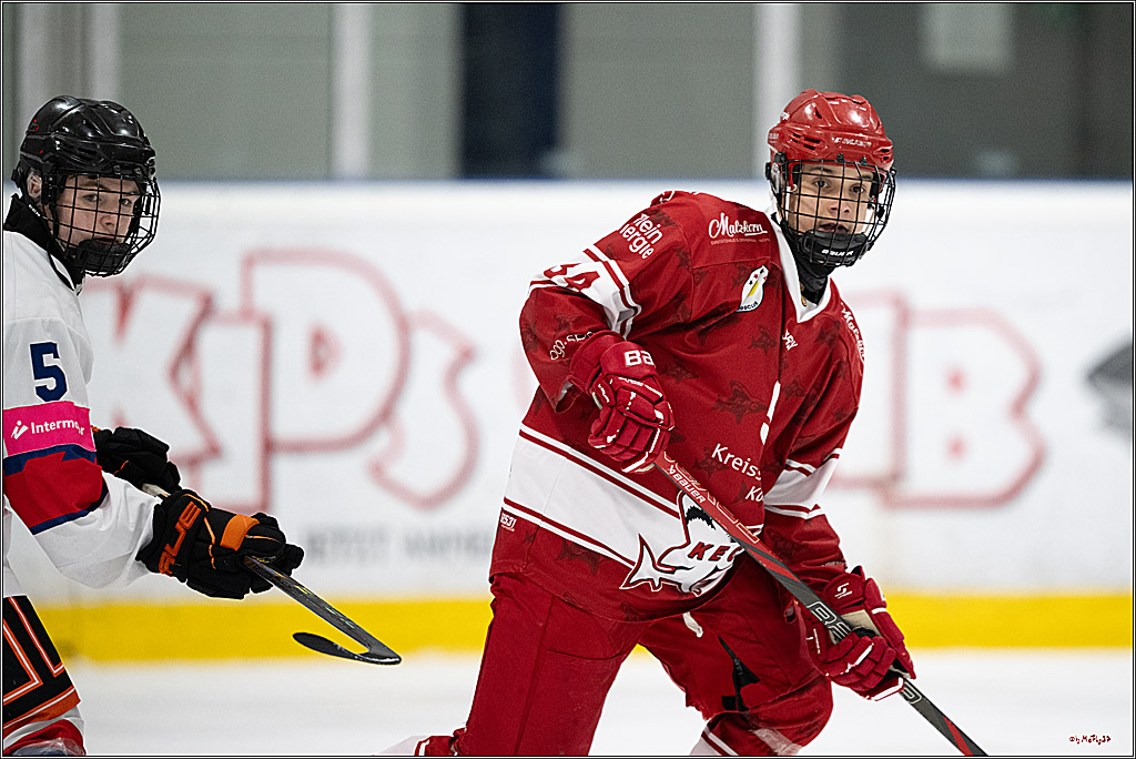 Freundschaftsspiel Junghaie U17 - Nationalmannschaft GRB U18; Köln, 18.12.2024
