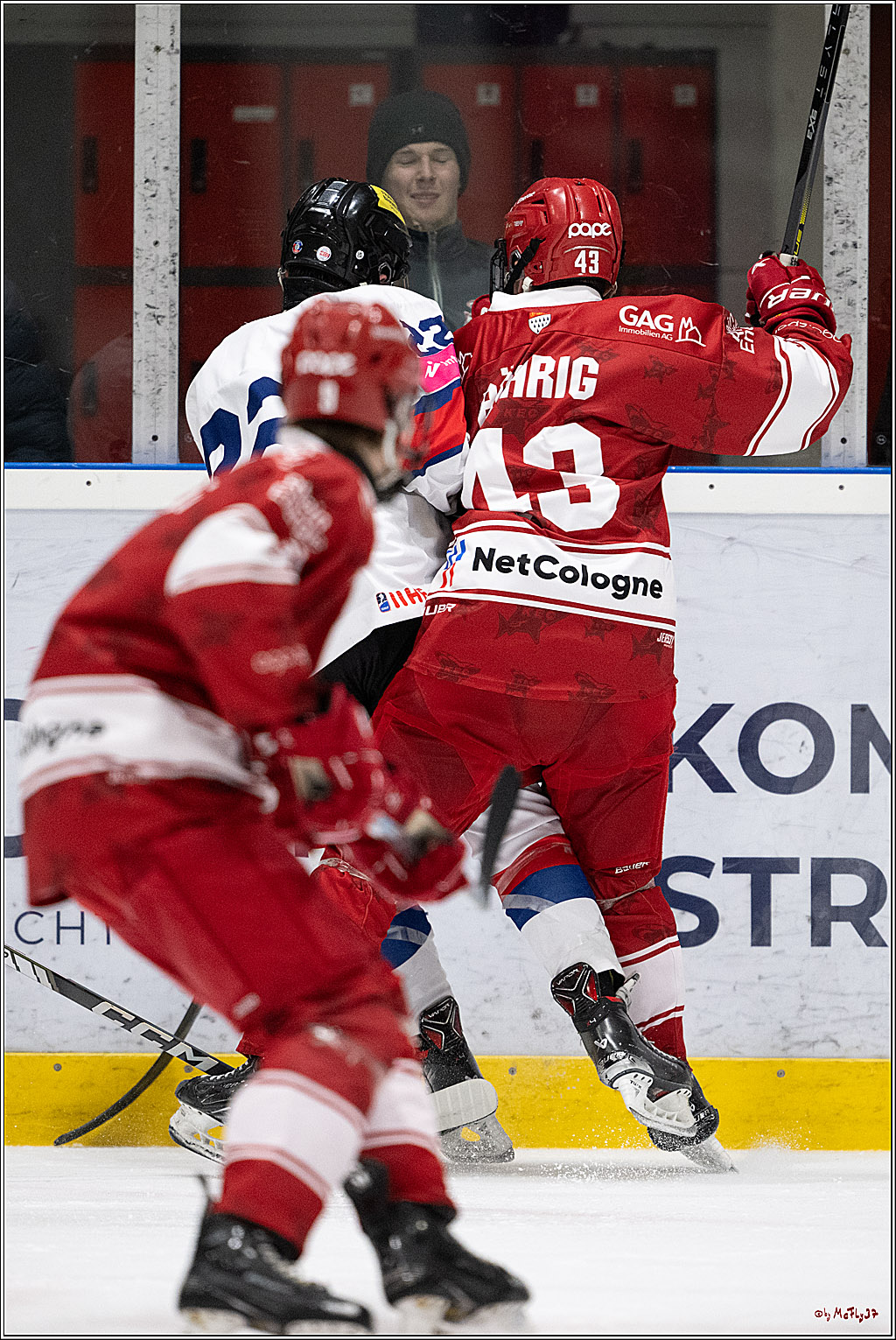 Freundschaftsspiel Junghaie U17 - Nationalmannschaft GRB U18; Köln, 18.12.2024