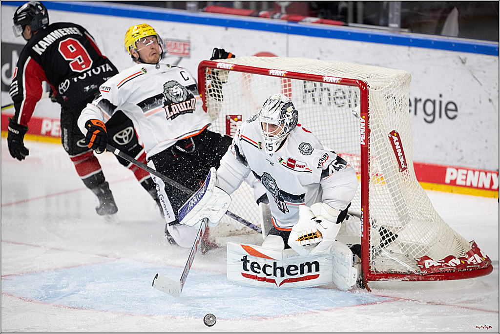 PENNY DEL 1; Kölner Haie - Löwen Frankfurt; Köln, 30.12.2024