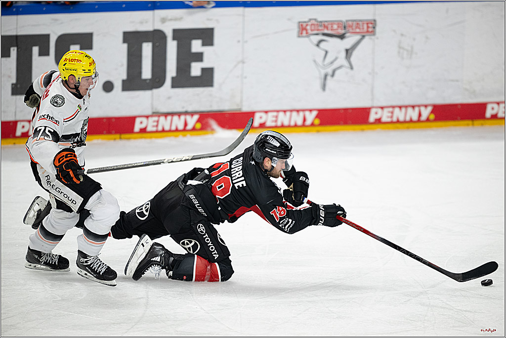 PENNY DEL 1; Kölner Haie - Löwen Frankfurt; Köln, 30.12.2024