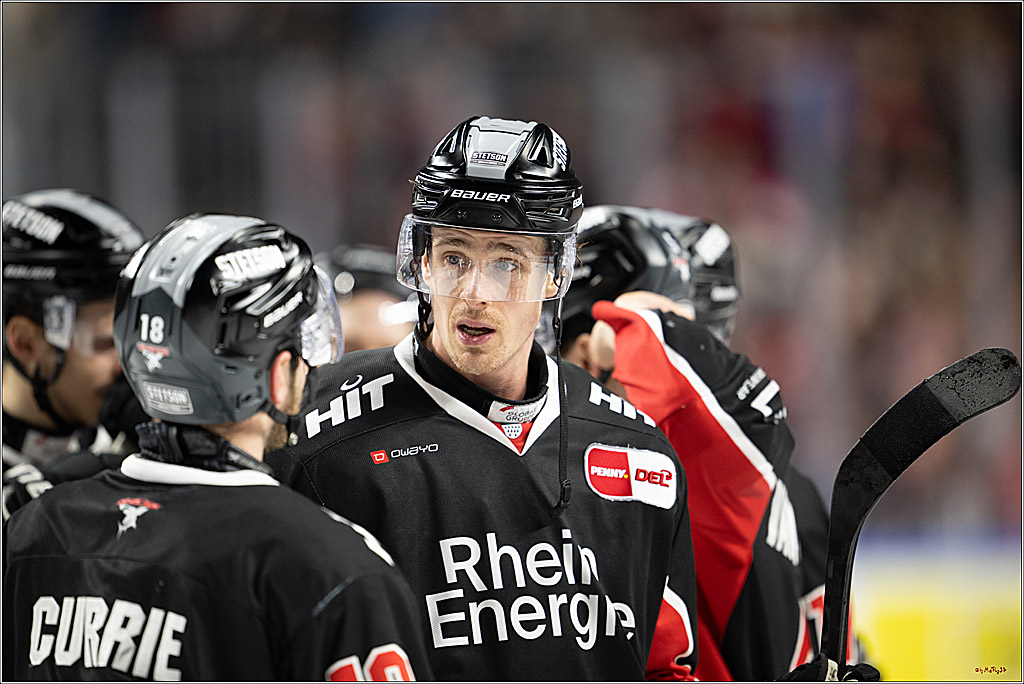 PENNY DEL 1; Kölner Haie - Löwen Frankfurt; Köln, 30.12.2024