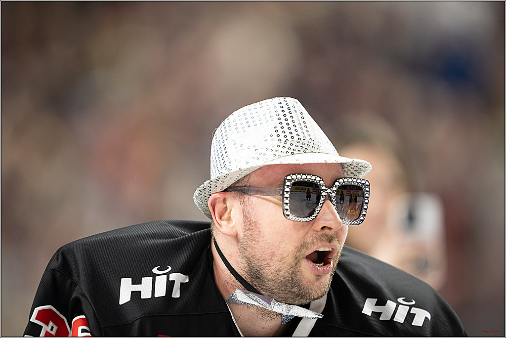 PENNY DEL 1; Kölner Haie - Löwen Frankfurt; Köln, 30.12.2024