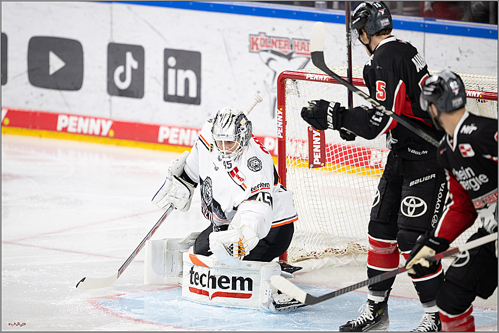 PENNY DEL 1; Kölner Haie - Löwen Frankfurt; Köln, 30.12.2024