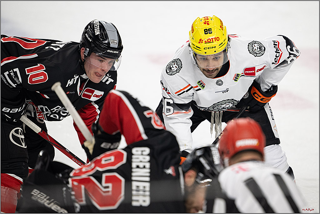 PENNY DEL 1; Kölner Haie - Löwen Frankfurt; Köln, 30.12.2024