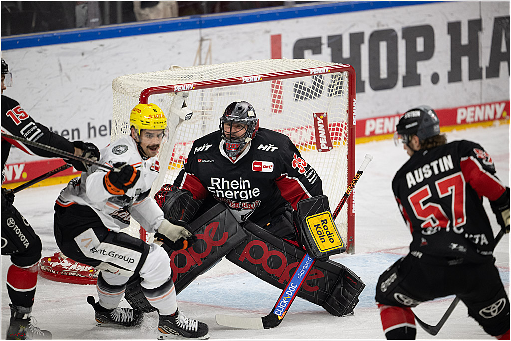 PENNY DEL 1; Kölner Haie - Löwen Frankfurt; Köln, 30.12.2024