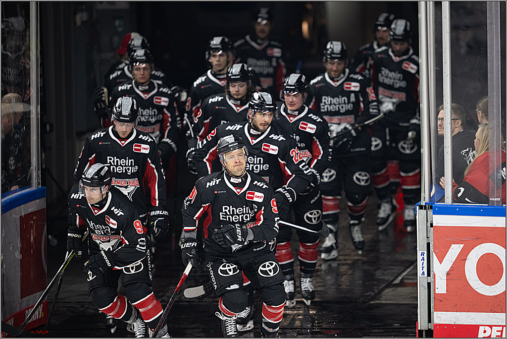 PENNY DEL 1; Kölner Haie - Löwen Frankfurt; Köln, 30.12.2024