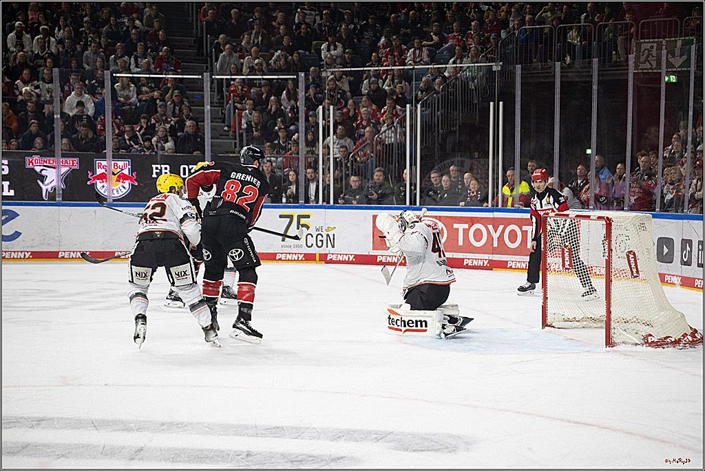 PENNY DEL 1; Kölner Haie - Löwen Frankfurt; Köln, 30.12.2024