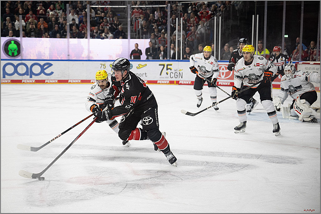 PENNY DEL 1; Kölner Haie - Löwen Frankfurt; Köln, 30.12.2024
