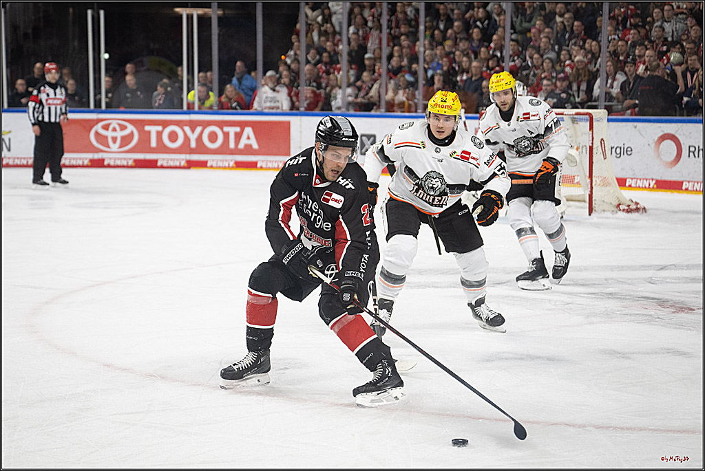 PENNY DEL 1; Kölner Haie - Löwen Frankfurt; Köln, 30.12.2024