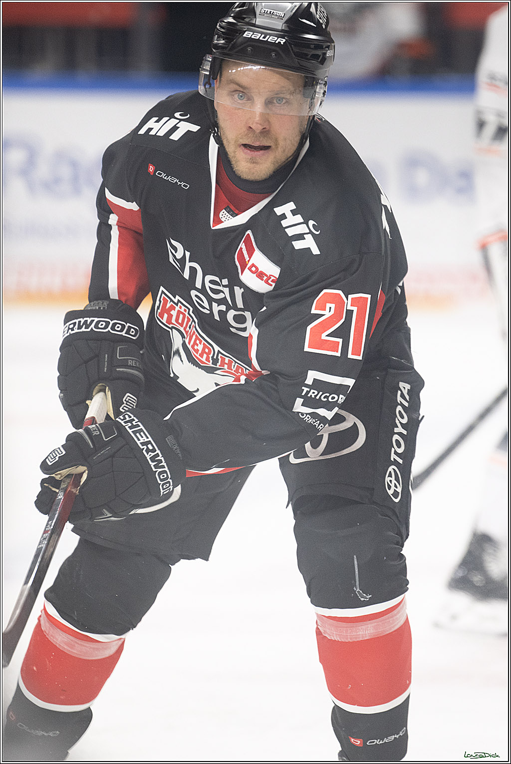 PENNY DEL; Koelner Haie- Loewen Frankfurt; Koeln, 30.12.2024