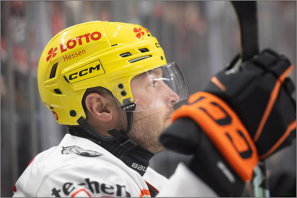PENNY DEL; Koelner Haie- Loewen Frankfurt; Koeln, 30.12.2024