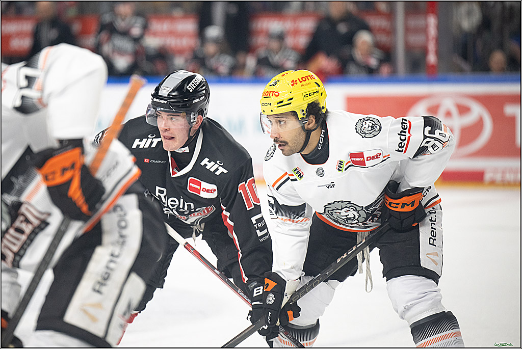 PENNY DEL; Koelner Haie- Loewen Frankfurt; Koeln, 30.12.2024