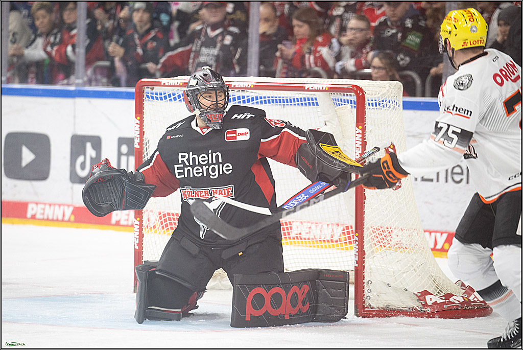 PENNY DEL; Koelner Haie- Loewen Frankfurt; Koeln, 30.12.2024