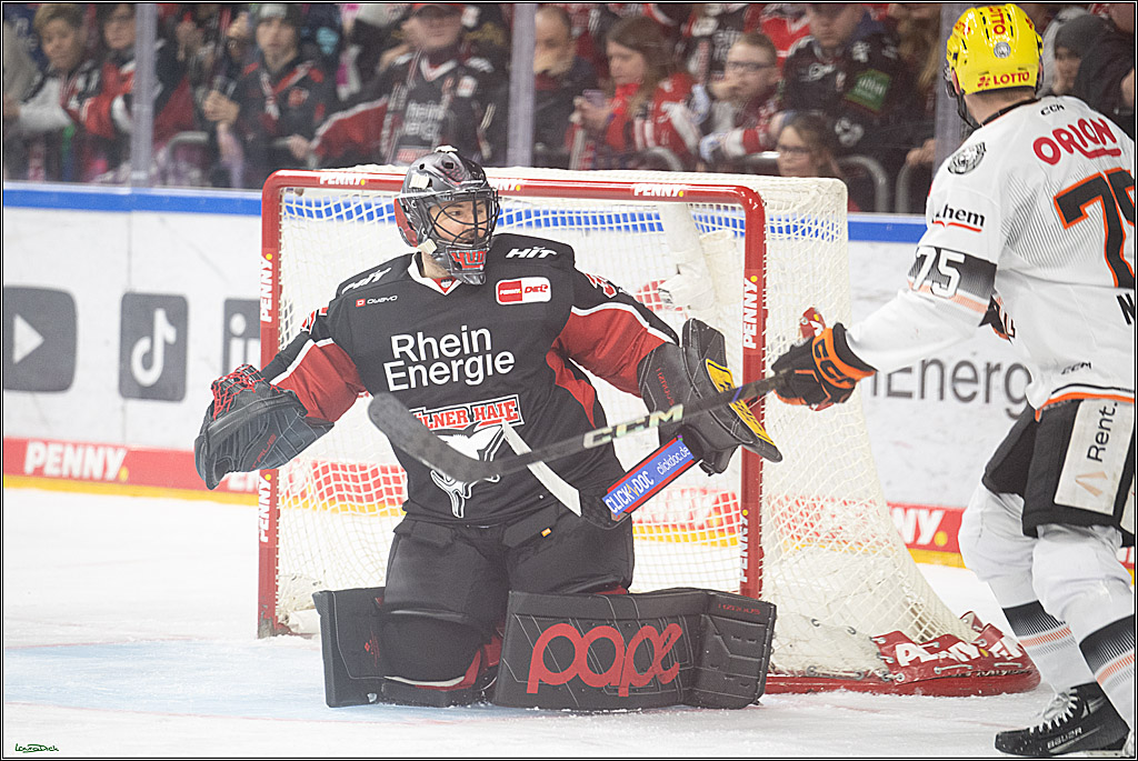 PENNY DEL; Koelner Haie- Loewen Frankfurt; Koeln, 30.12.2024